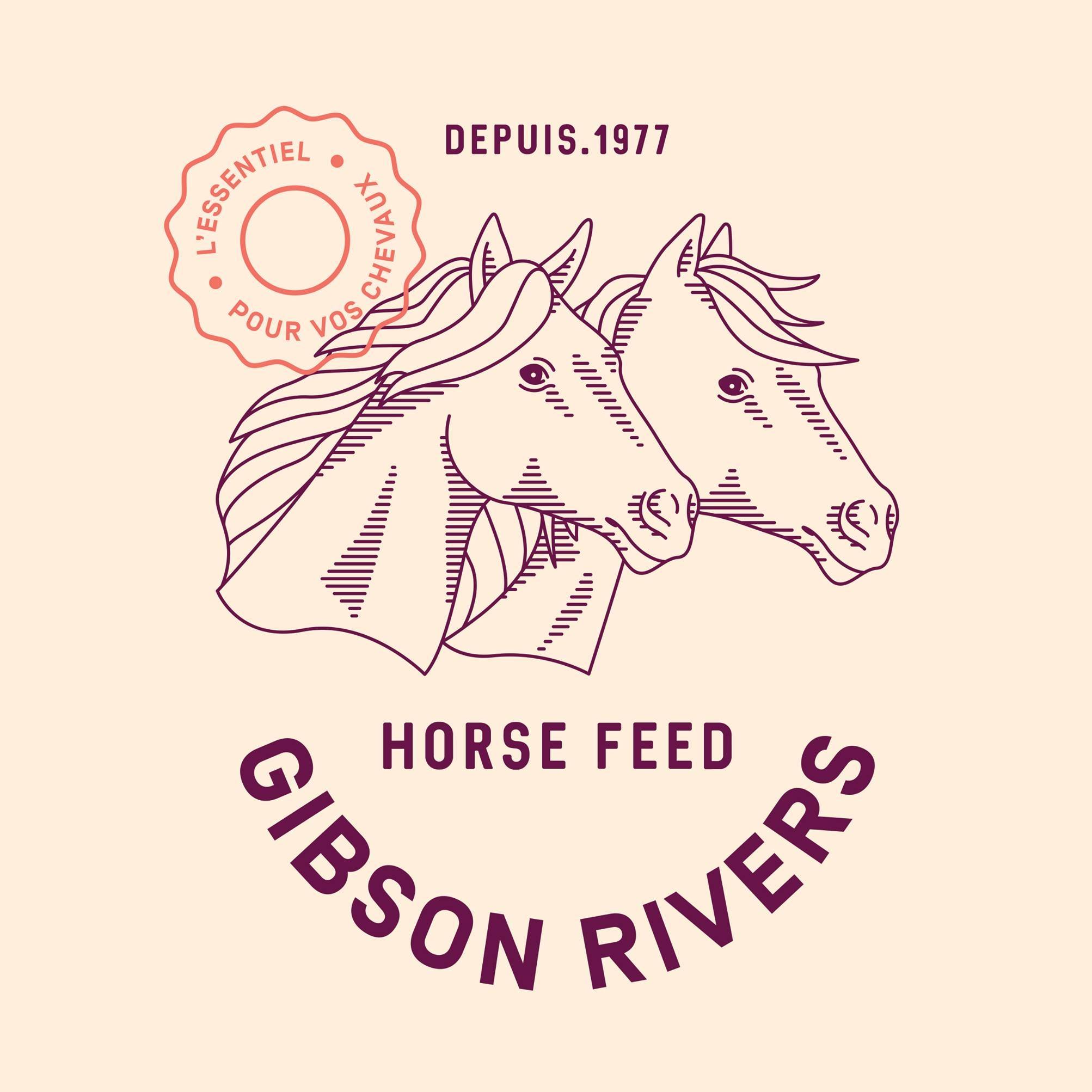 GIBSON RIVERS GIBSON RIVERS